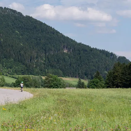 Holiday home Schlager In Puchberg am Schneeberg