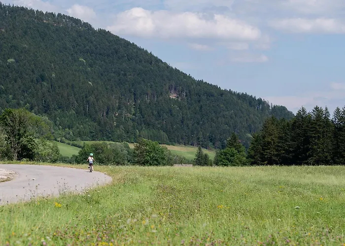 Holiday home Schlager In Puchberg am Schneeberg